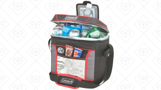 Keep Ice Frozen All Day Long With This $14 Cooler